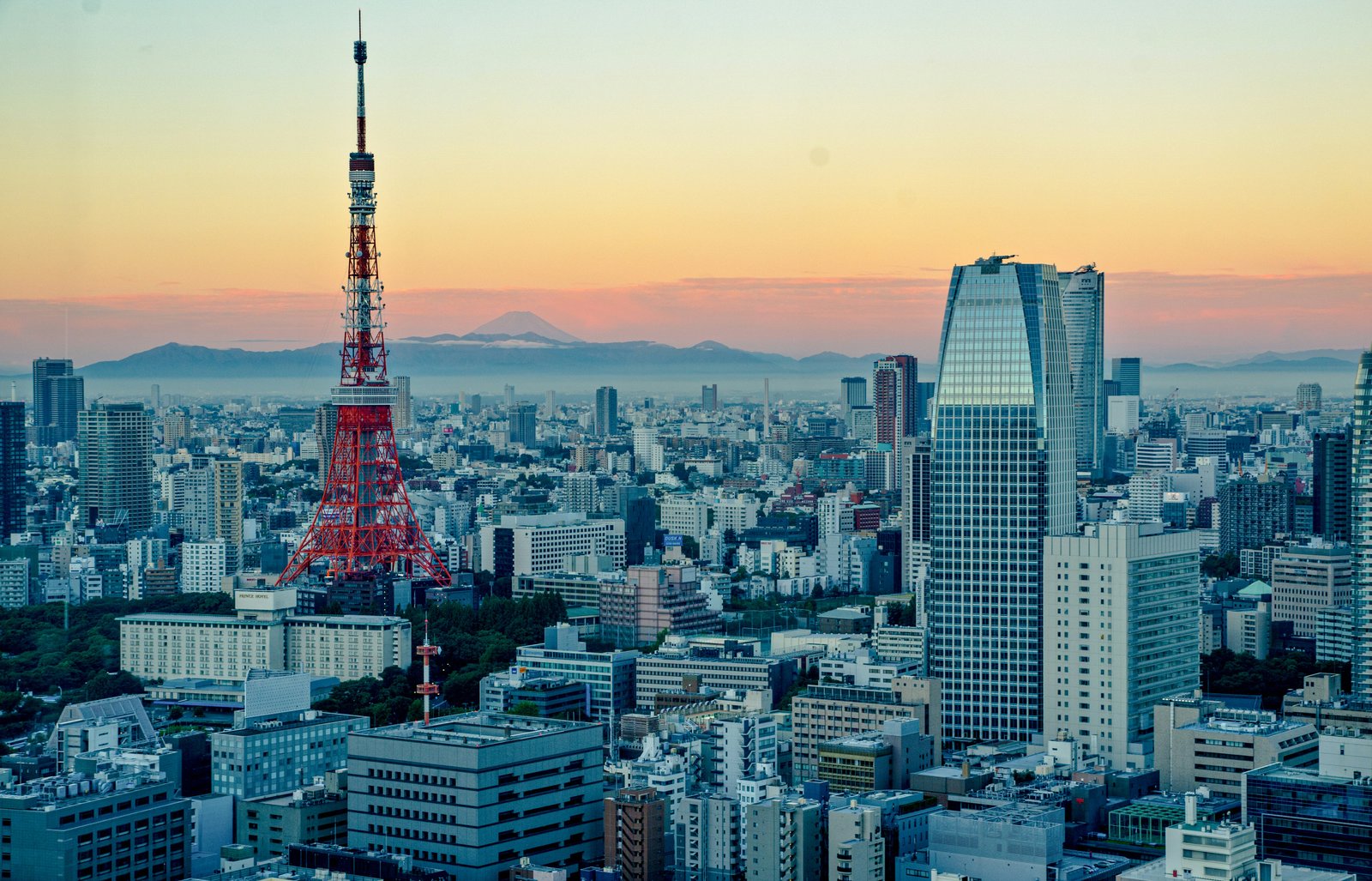 Business Etiquette in Japan: A Practical Guide for International Professionals